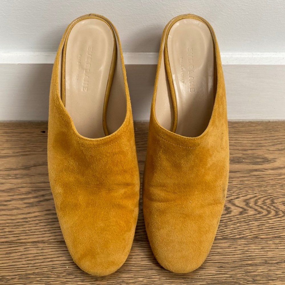 Everlane Shoes | The Day Heel Mule | Size 7